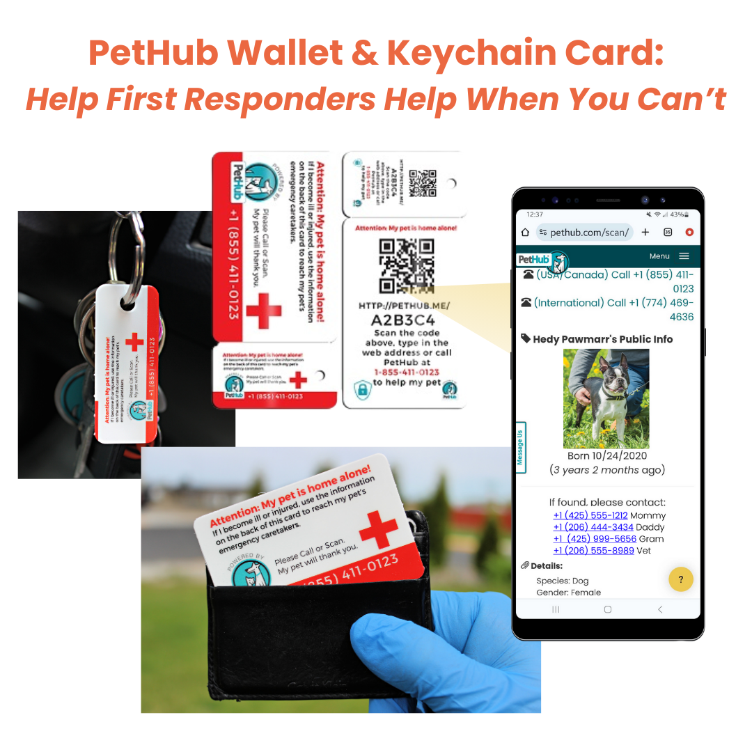 PetHub QR Pet ID Comprehensive ReadyKit – Complete Emergency Kit by PetHub