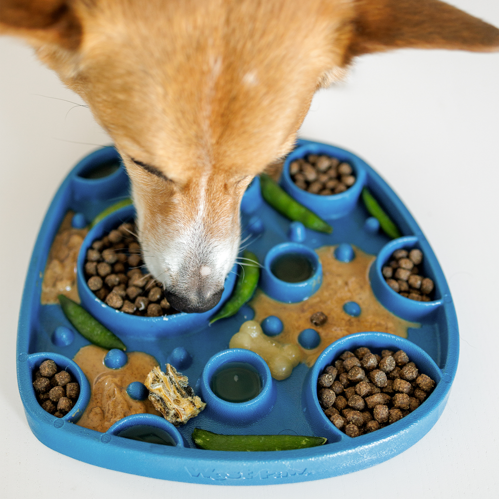 Bubbles Feast Mat by West Paw