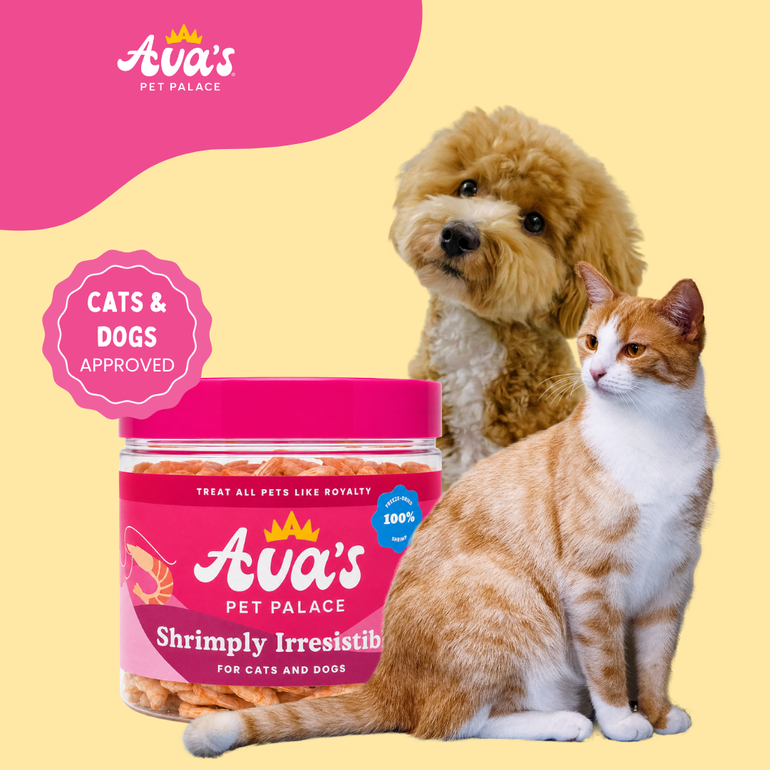 Freeze Dried Shrimp - Shrimply Irresistable by Ava's Pet Palace