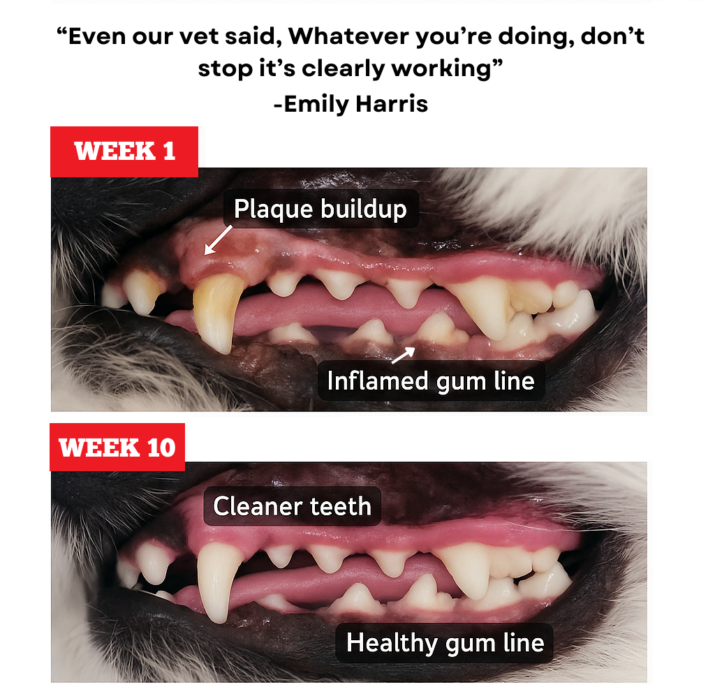 Himalayan Yak Chew (MEDIUM) by Bully Bunches
