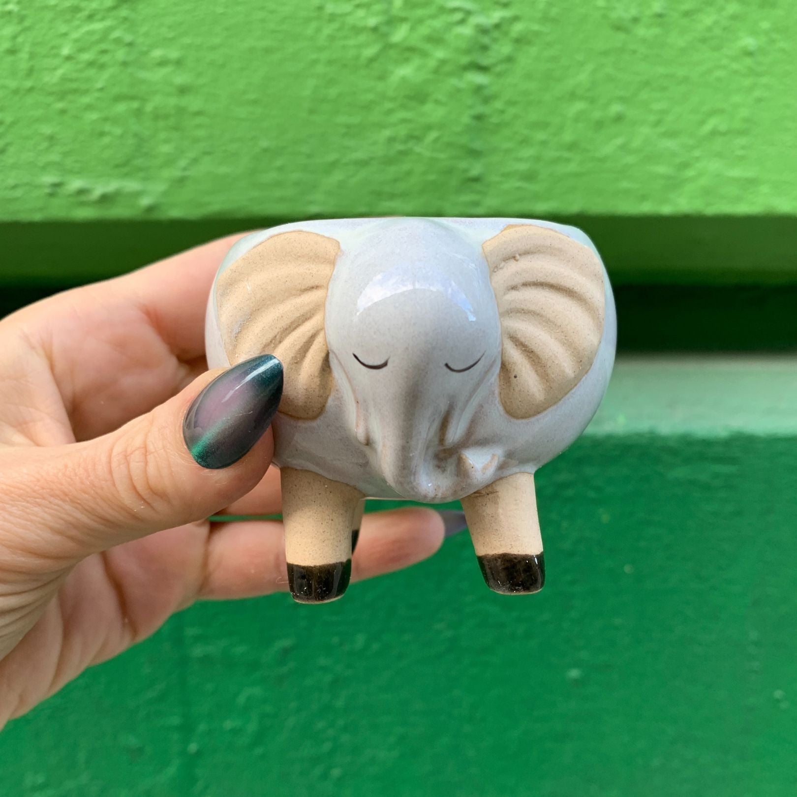 White Elephant Pot | Decorative Succulents Ceramic Planter | 2.5" Tall by The Bullish Store