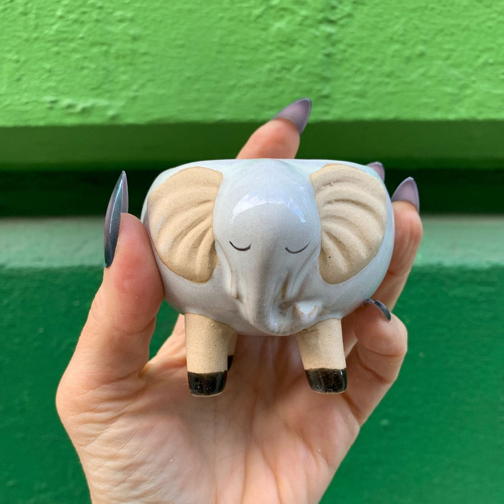 White Elephant Pot | Decorative Succulents Ceramic Planter | 2.5" Tall by The Bullish Store