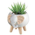 White Elephant Pot | Decorative Succulents Ceramic Planter | 2.5" Tall by The Bullish Store