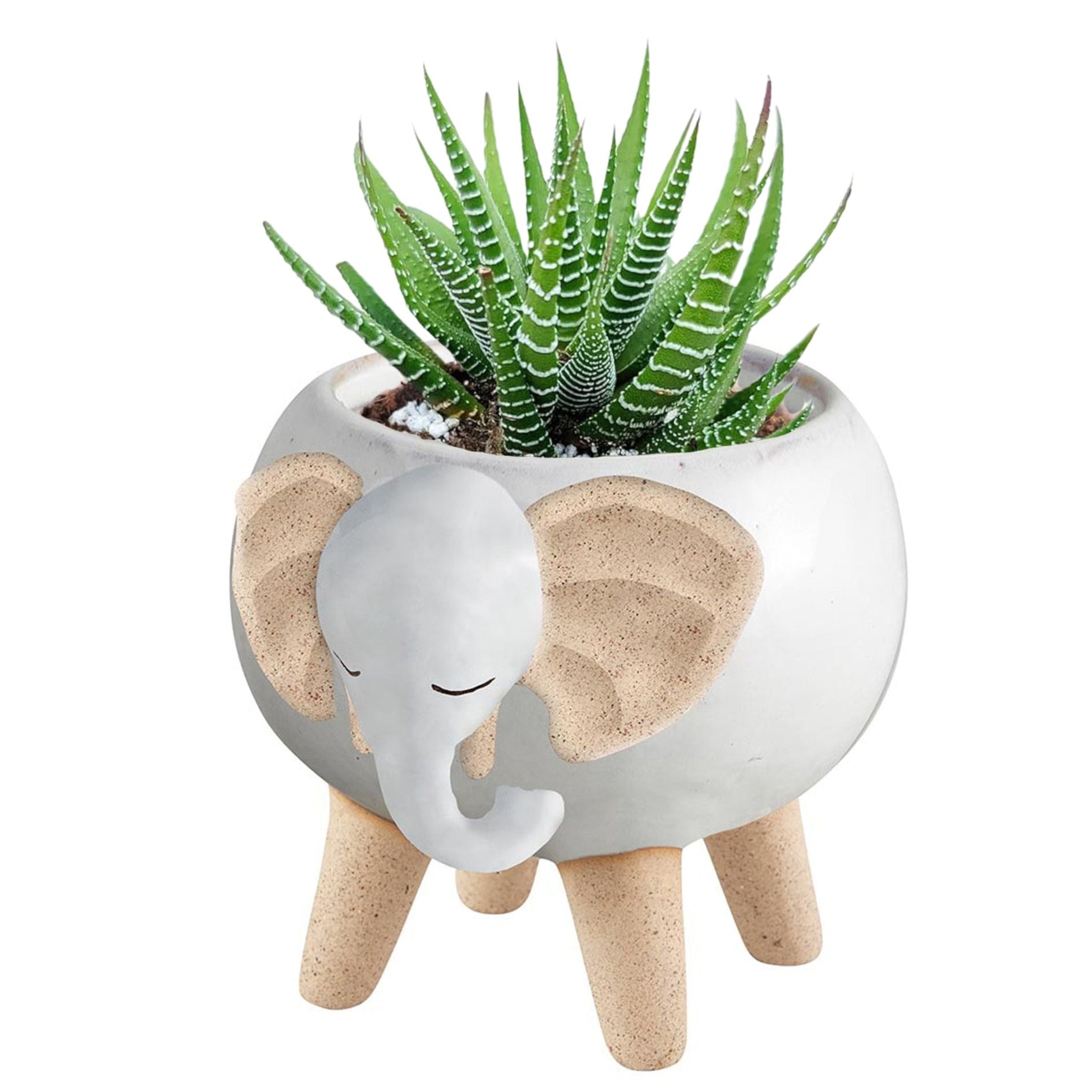 White Elephant Pot | Decorative Succulents Ceramic Planter | 2.5" Tall by The Bullish Store