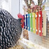 Wooden Xylophone Toy For Chicken Coop Enrichment by Dahlia Pets