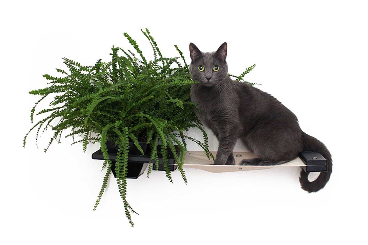 Cat Hammock Wall with Planter by Catastrophic Creations