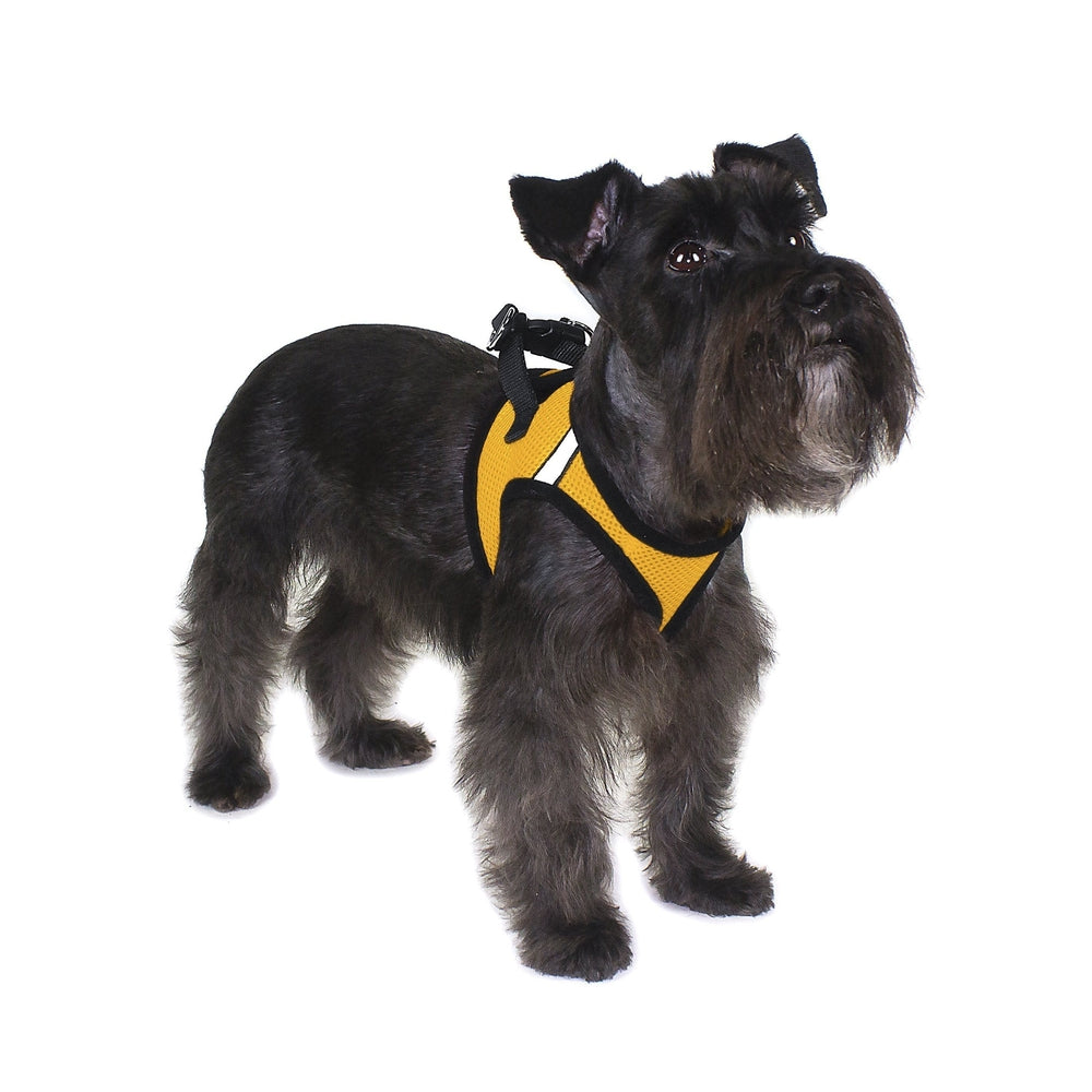 York Mesh Dog Harness by Dogline