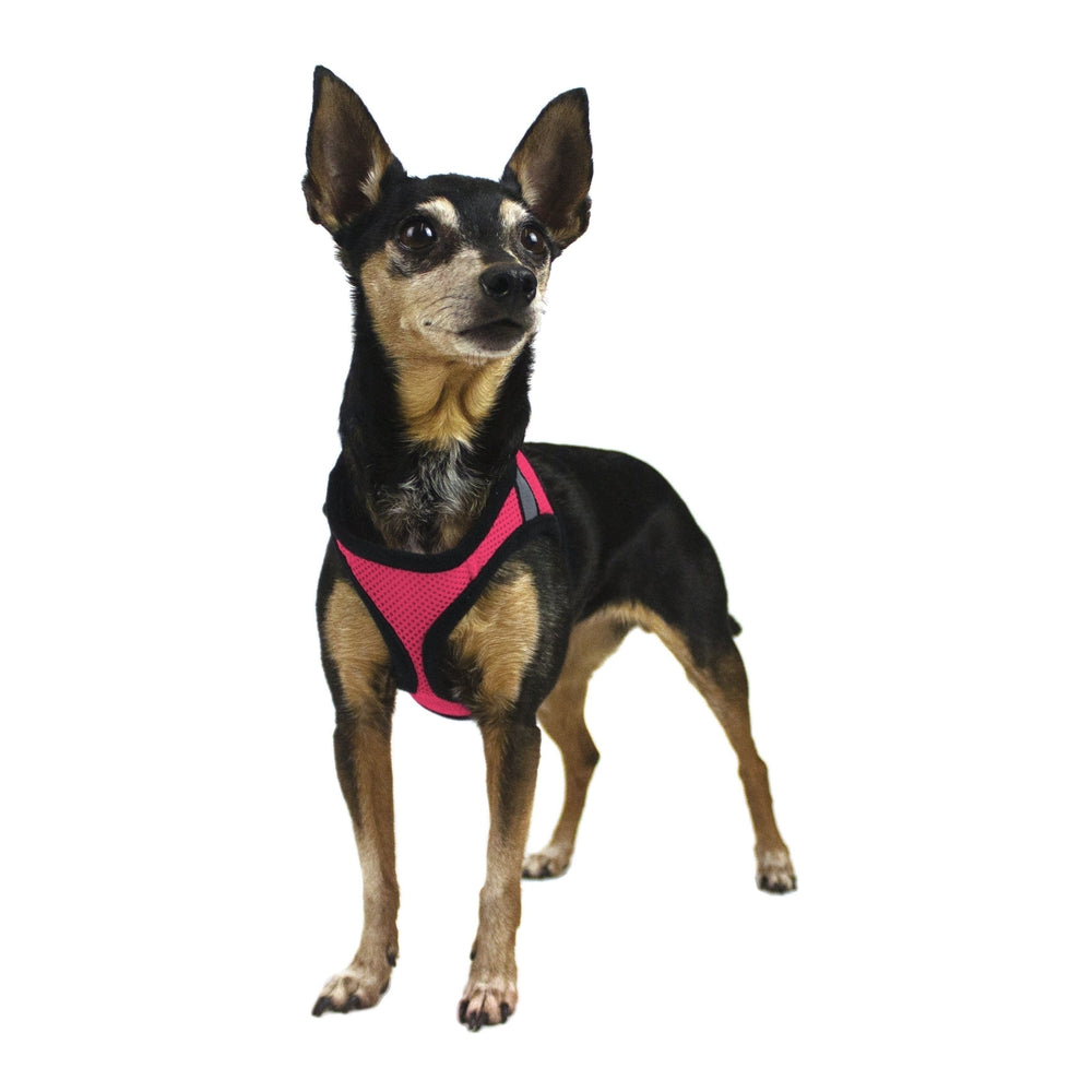 York Mesh Dog Harness by Dogline