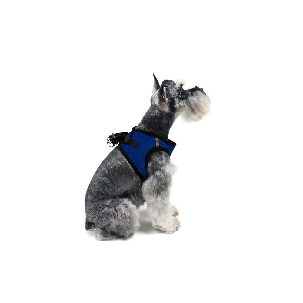 York Mesh Dog Harness by Dogline
