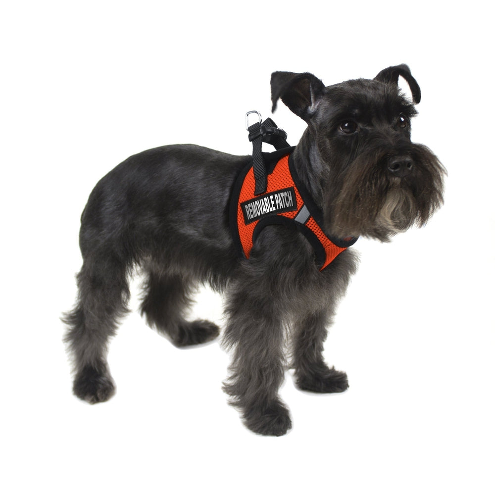 York Mesh Harness + Built-in Hook & Loop Fasteners by Dogline