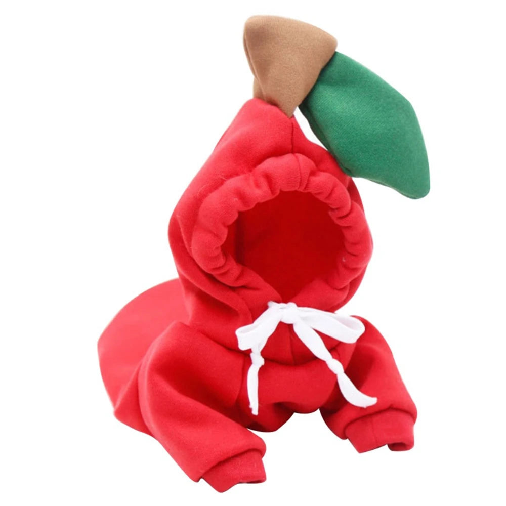 Cute Colorful Pet Clothing by Love My Pet