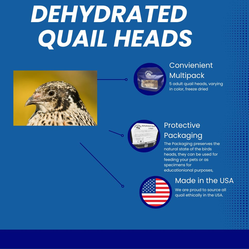 Fine Feline Feasts Quail Heads - Gourmet Cat Treats, High Protein, Nutrient-Dense, Promotes Natural Instincts, Healthy Skin & Coat, Minimal Ingredients Pack of 10 by Quailz.com by Undique LLC