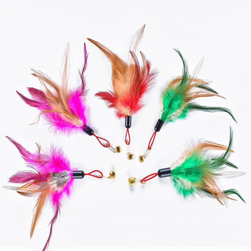 Interactive Cat Toy Feather Bird with Multiple Options by Love My Pet