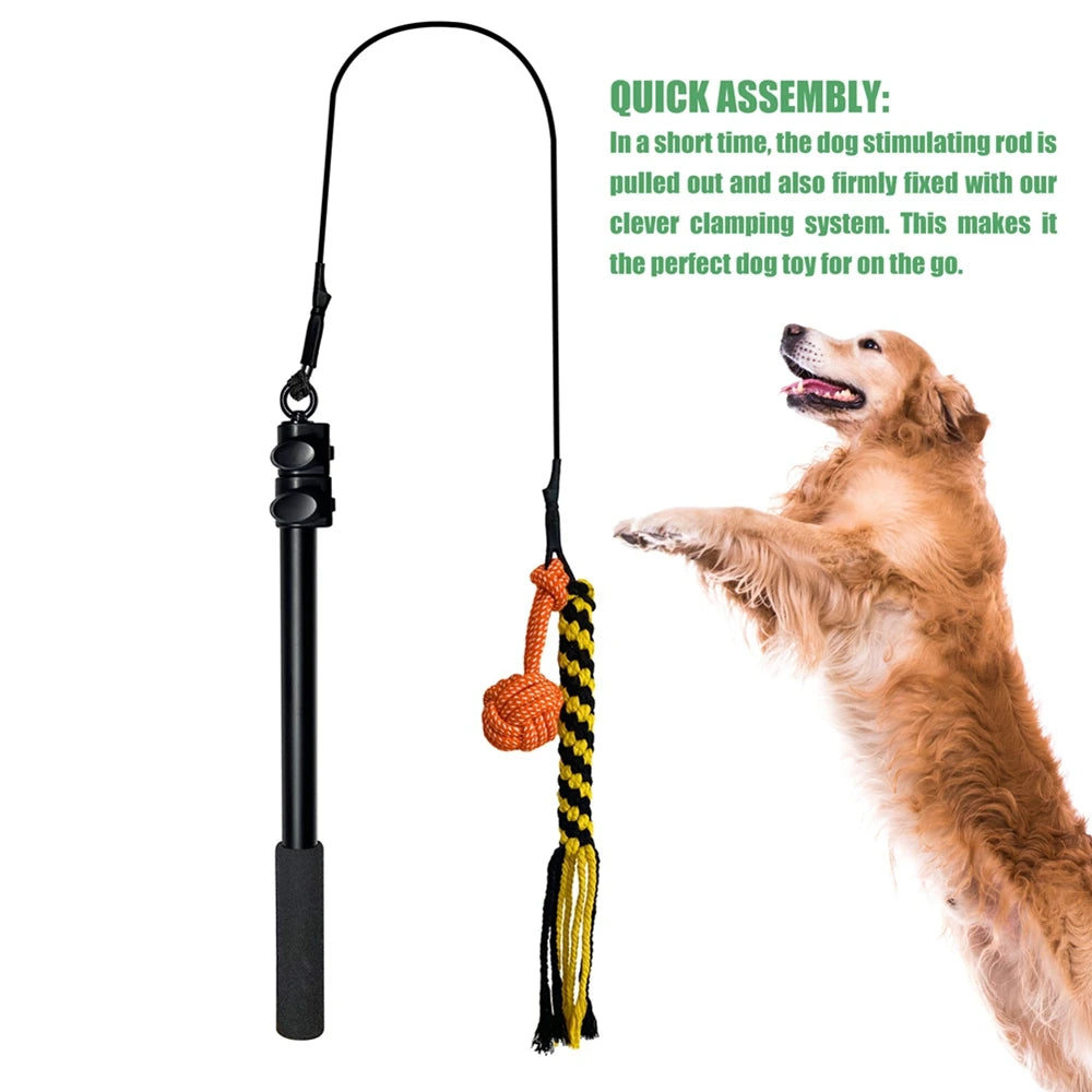 Durable Teaser Rod Tethered Dog Toy For Outdoor Sports by Love My Pet