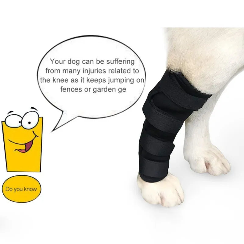 Knee Brace For Dogs, Compression Rear Joint Wrap