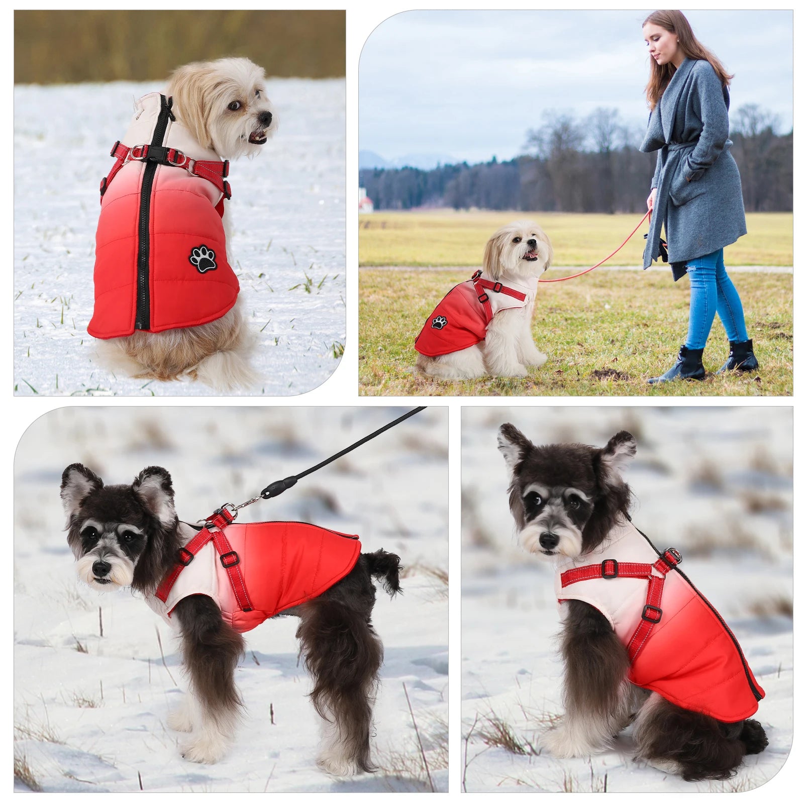 Waterproof Pet Winter Jacket With Harness and Reflective by Love My Pet