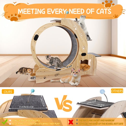 Cat Wheel 6-in-1 Cat Fitness Wheel by Love My Pet