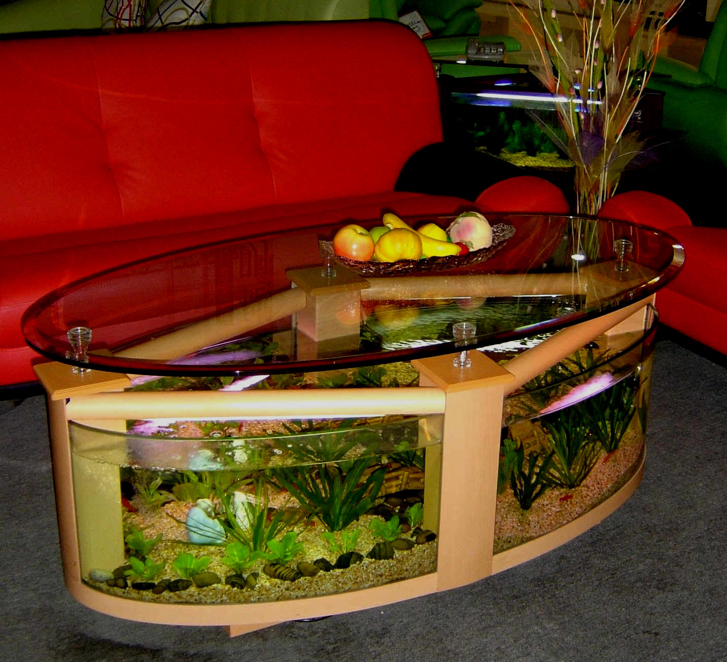 WARRANTY INCLUDED! 55 gallon GLASS round circle table aquarium fish tank setup- MAPLE by Northeast Aquariums LLC