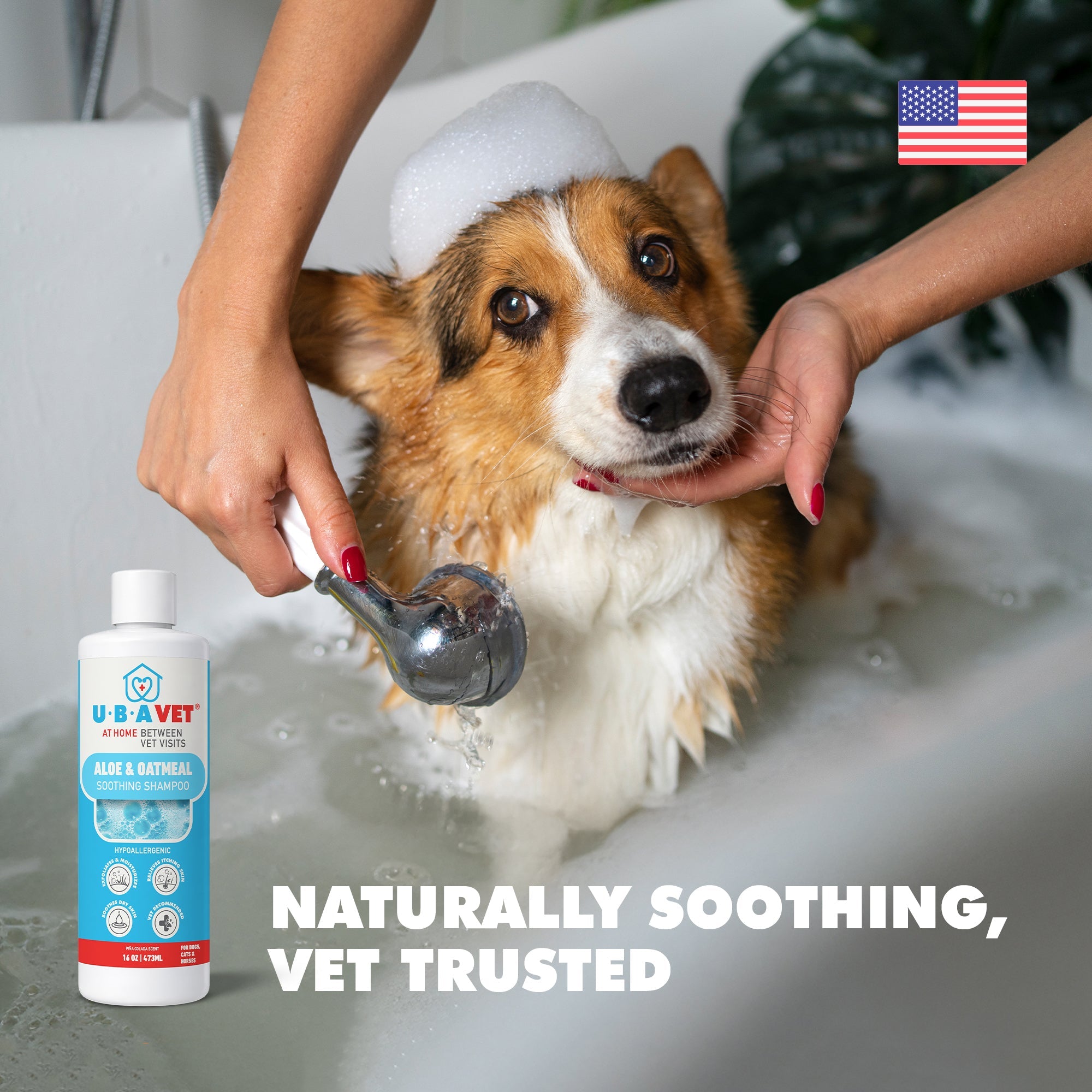 UBAVET Aloe & Oatmeal Conditioner for Dogs & Cats – Soothing Moisturizing Formula for Sensitive Skin (16.9 fl oz / 500ml) by American Pet Supplies