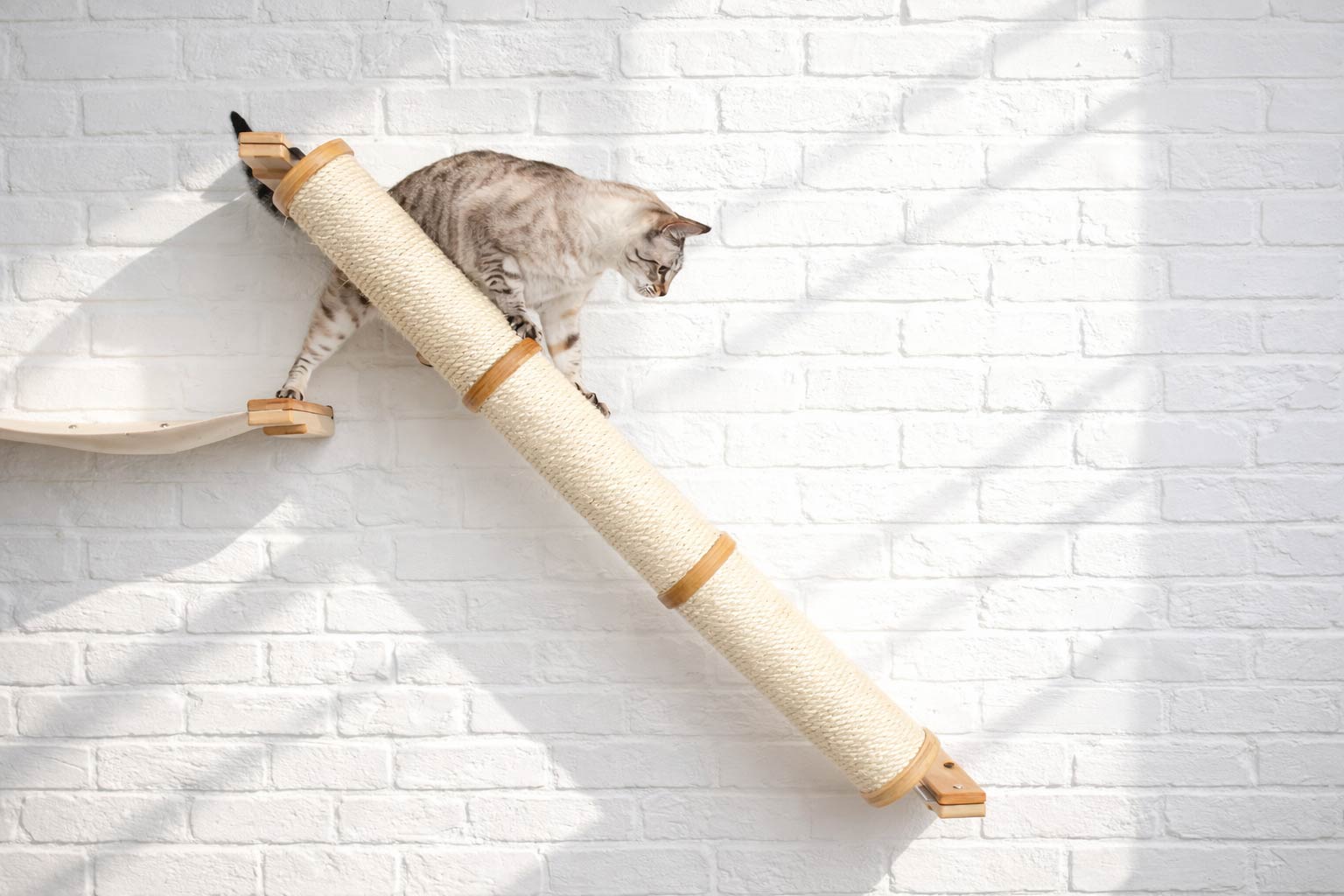 Slanted Cat Scratcher for Wall
