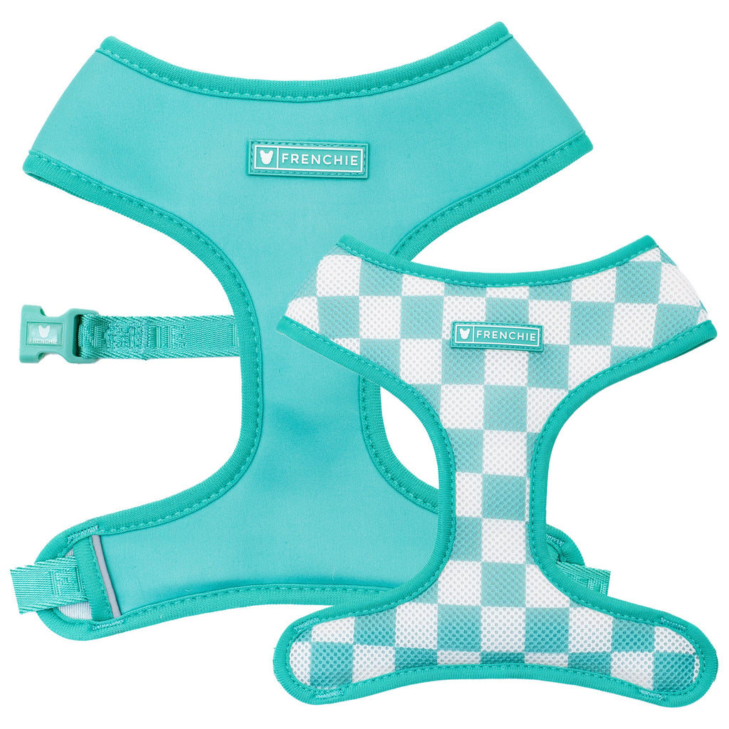 Frenchie Duo Reversible Harness - Solid Aqua by Frenchie Bulldog
