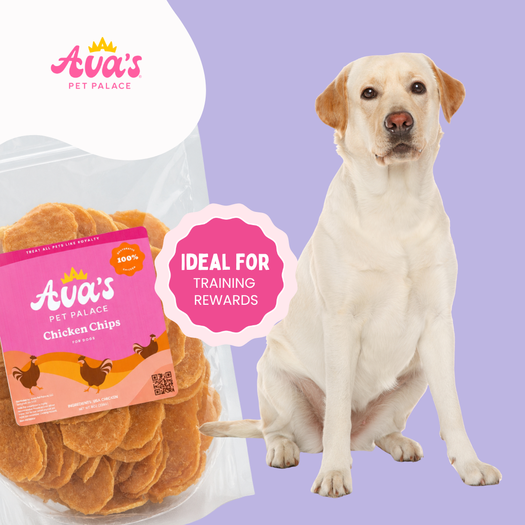 Crispy Dog Treats - Chicken Chips by Ava's Pet Palace