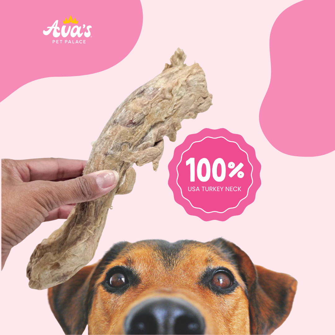 Freeze Dried Turkey Neck - Turkey Twists by Ava's Pet Palace