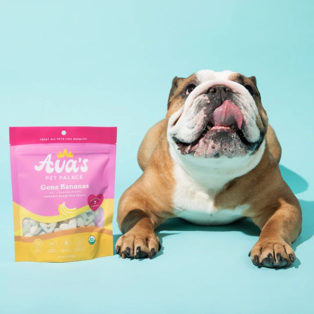 Ava's Pet Palace Organic Oven Baked Dog Treats - Gone Bananas (6 oz) / 2-Pack by American Pet Supplies