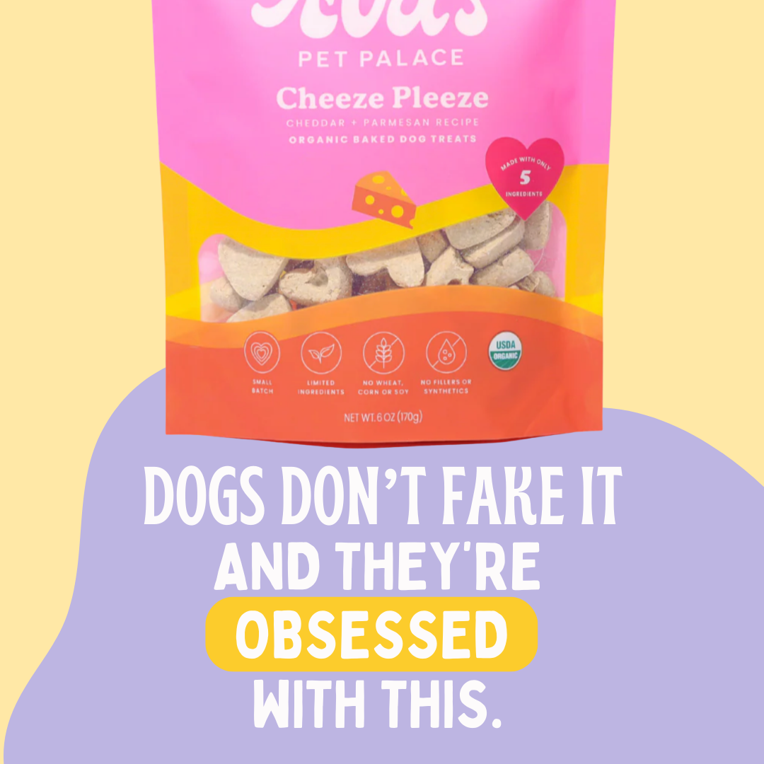 Organic Baked Dog Treats - Cheeze Pleeze by Ava's Pet Palace