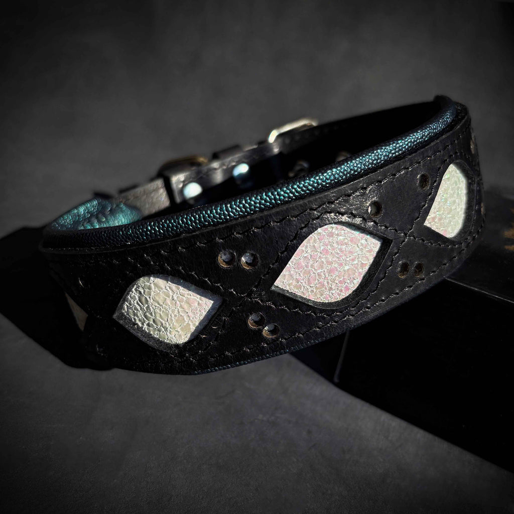 The Avatar Collar by Bestia Dog Gear