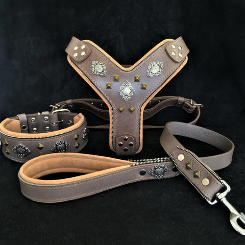 "AZTEC" BIG dog SET - Harness - collar - lead. Grey by Bestia Dog Gear