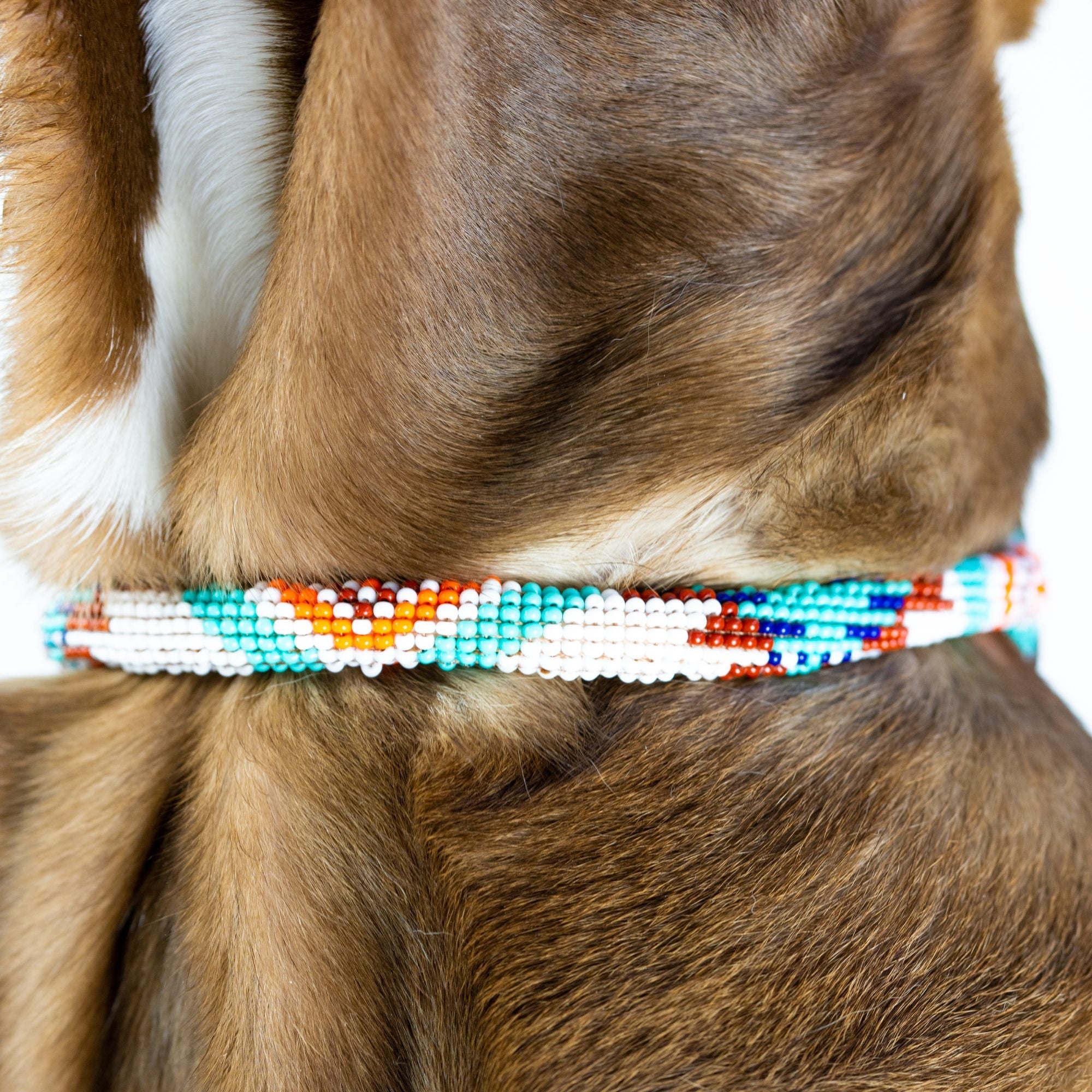 Aztec Sambboho dog collar (rolled) by Sambboho
