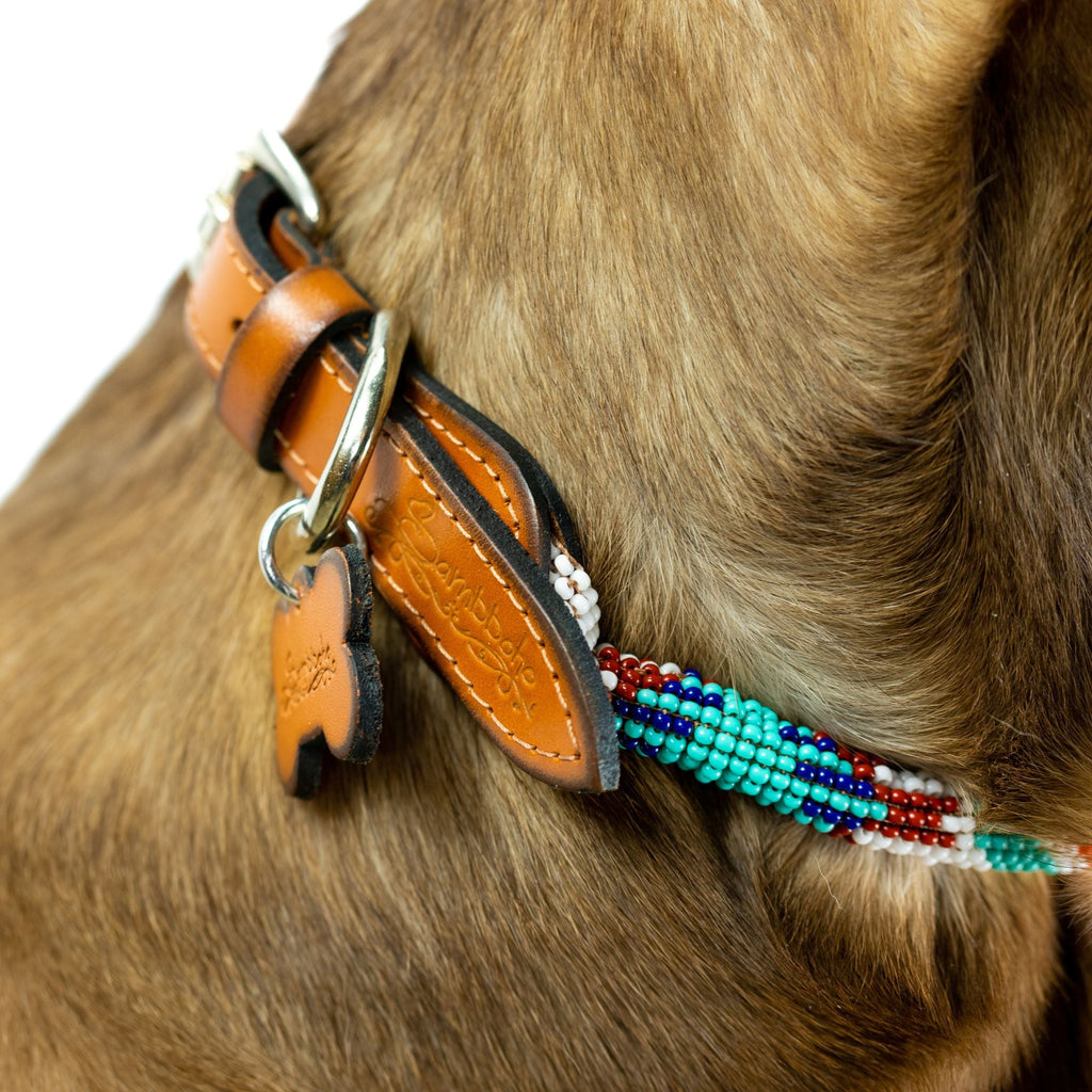 Aztec Sambboho dog collar (rolled) by Sambboho