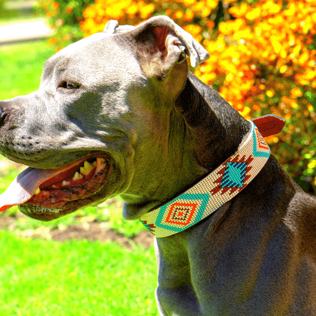 Aztec Sambboho dog collar by Sambboho