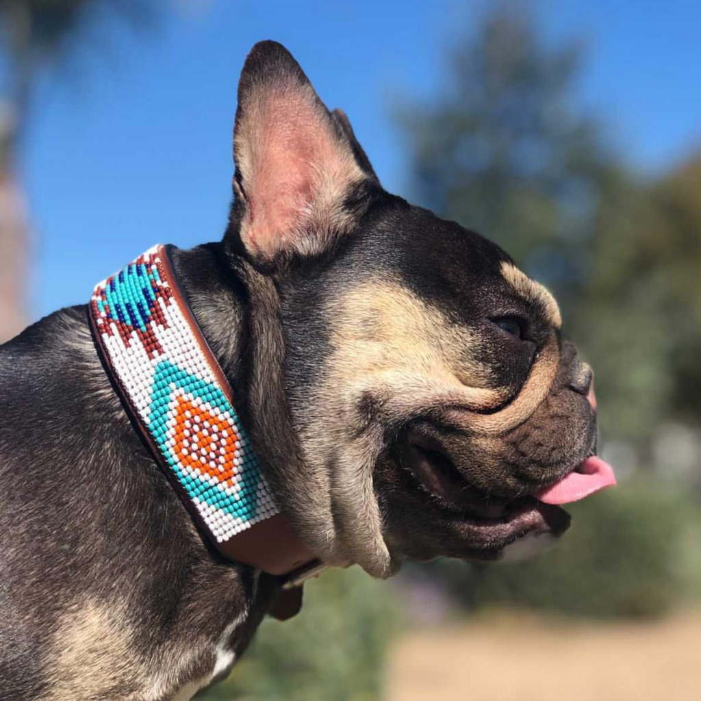 Aztec Sambboho dog collar by Sambboho