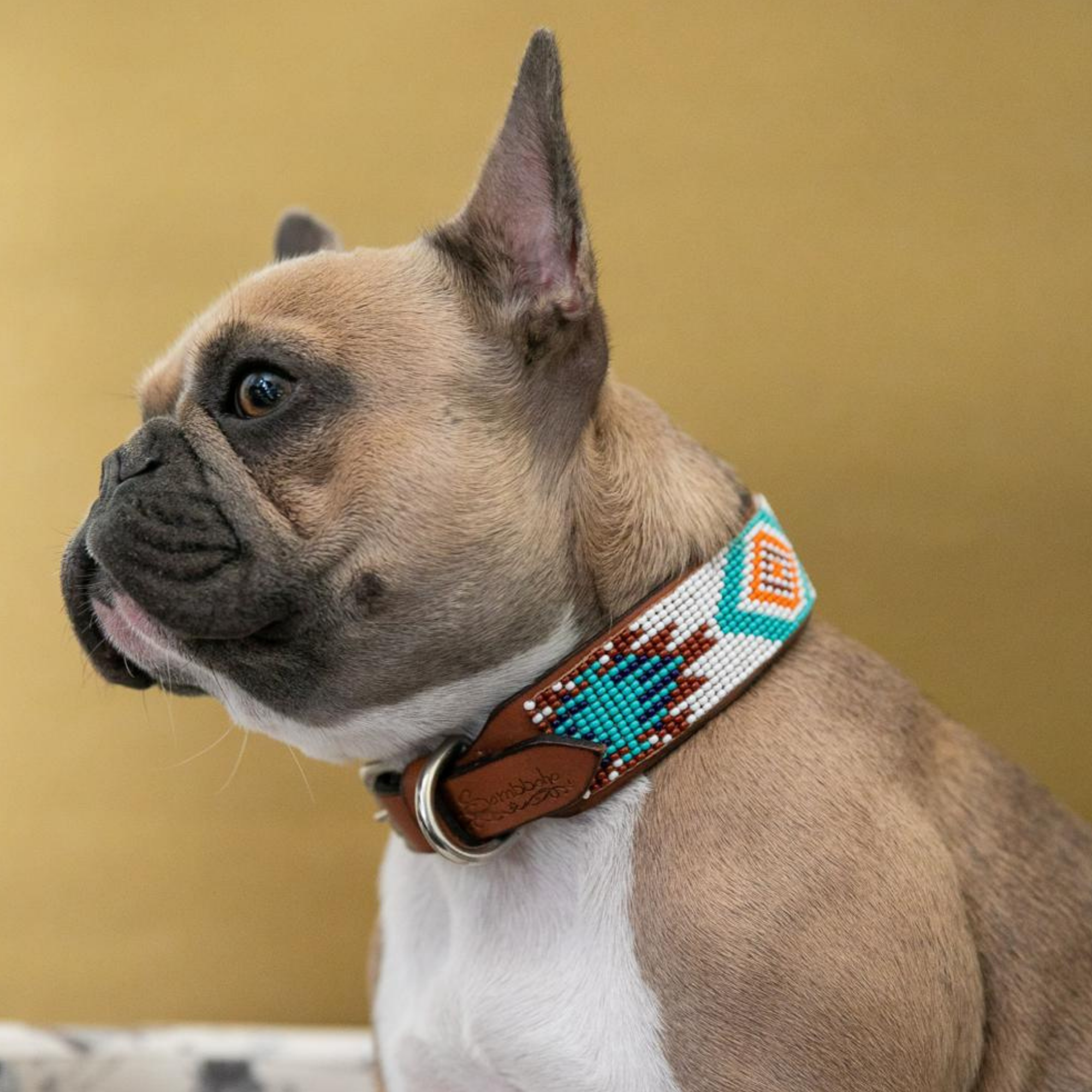 Aztec Sambboho dog collar by Sambboho