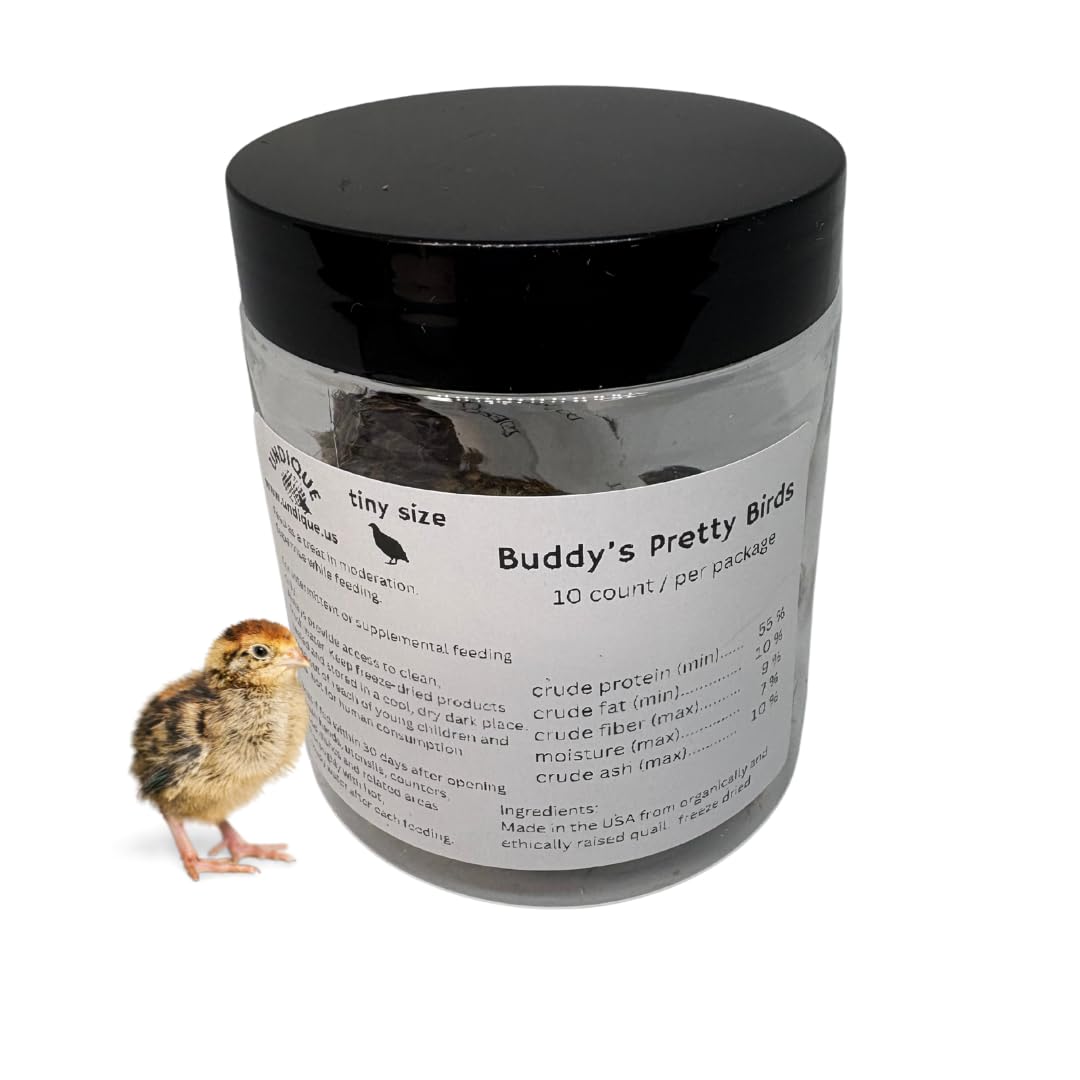 Quail Whole Chick Treats, 10 Count - Tiny, dehydrated Small Premium cat and Dog Treat