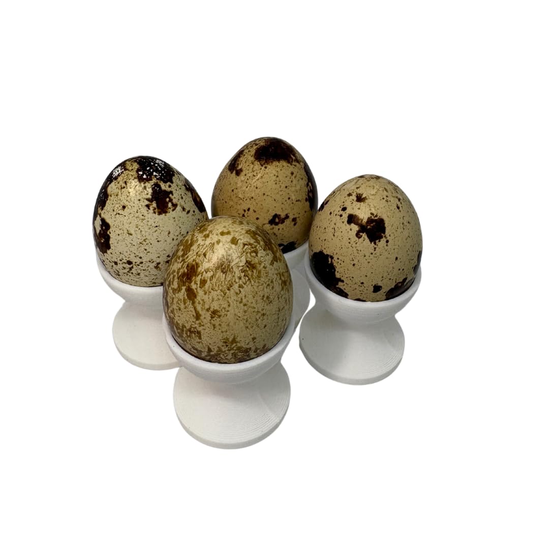 Mini Egg Cup Set, Quail Egg Holders, Set of 4 by Quailz.com by Undique LLC