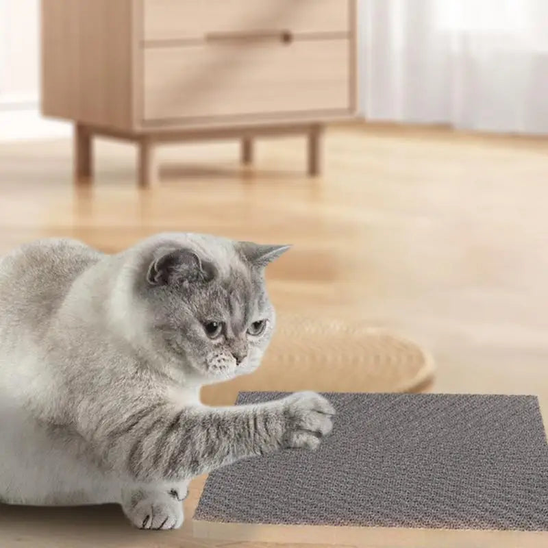 Cat Scratcher Reversible Thick Bed 5 Packs by Love My Pet