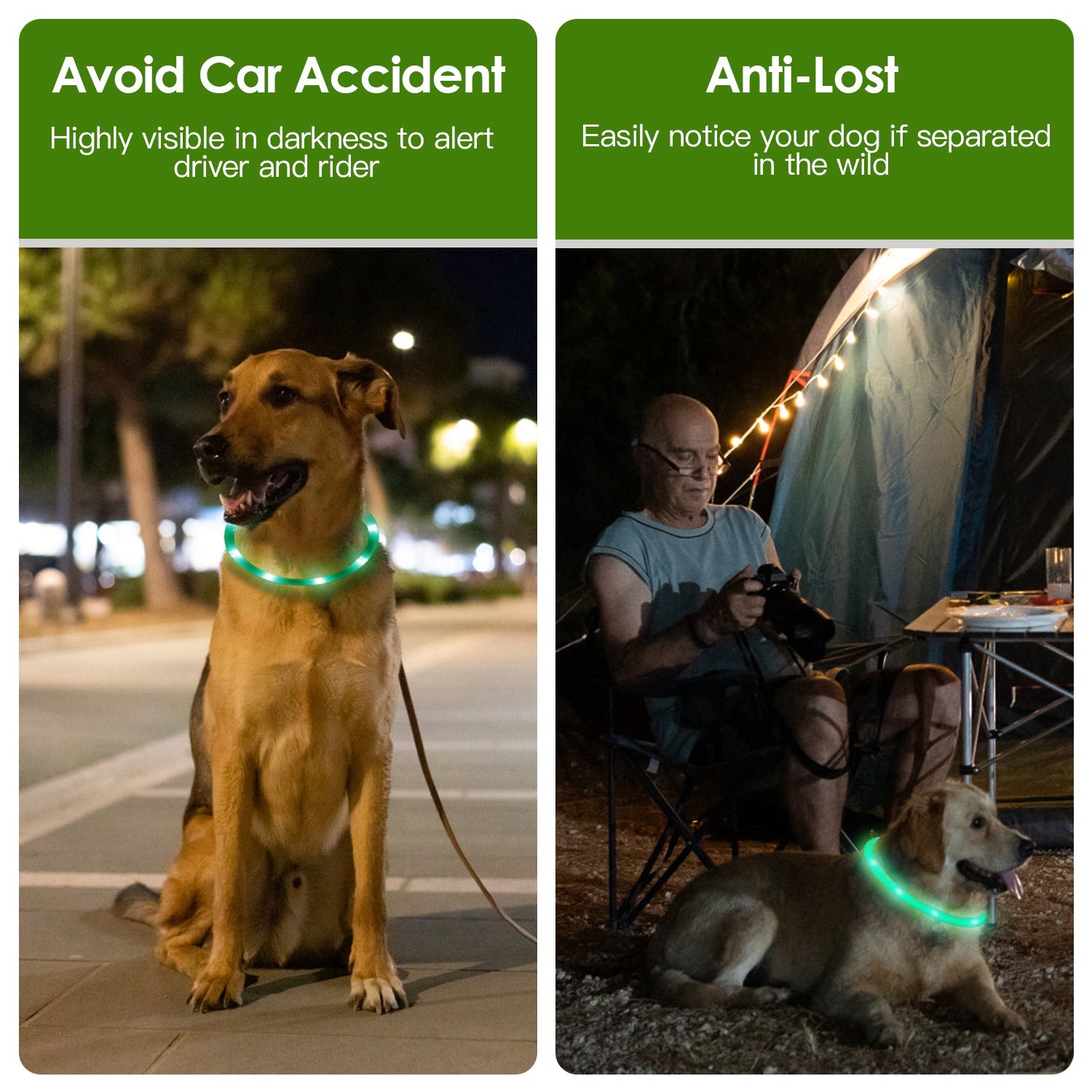 USB Rechargeable LED Dog Collar Multi Color by Amazing Pet Bargains
