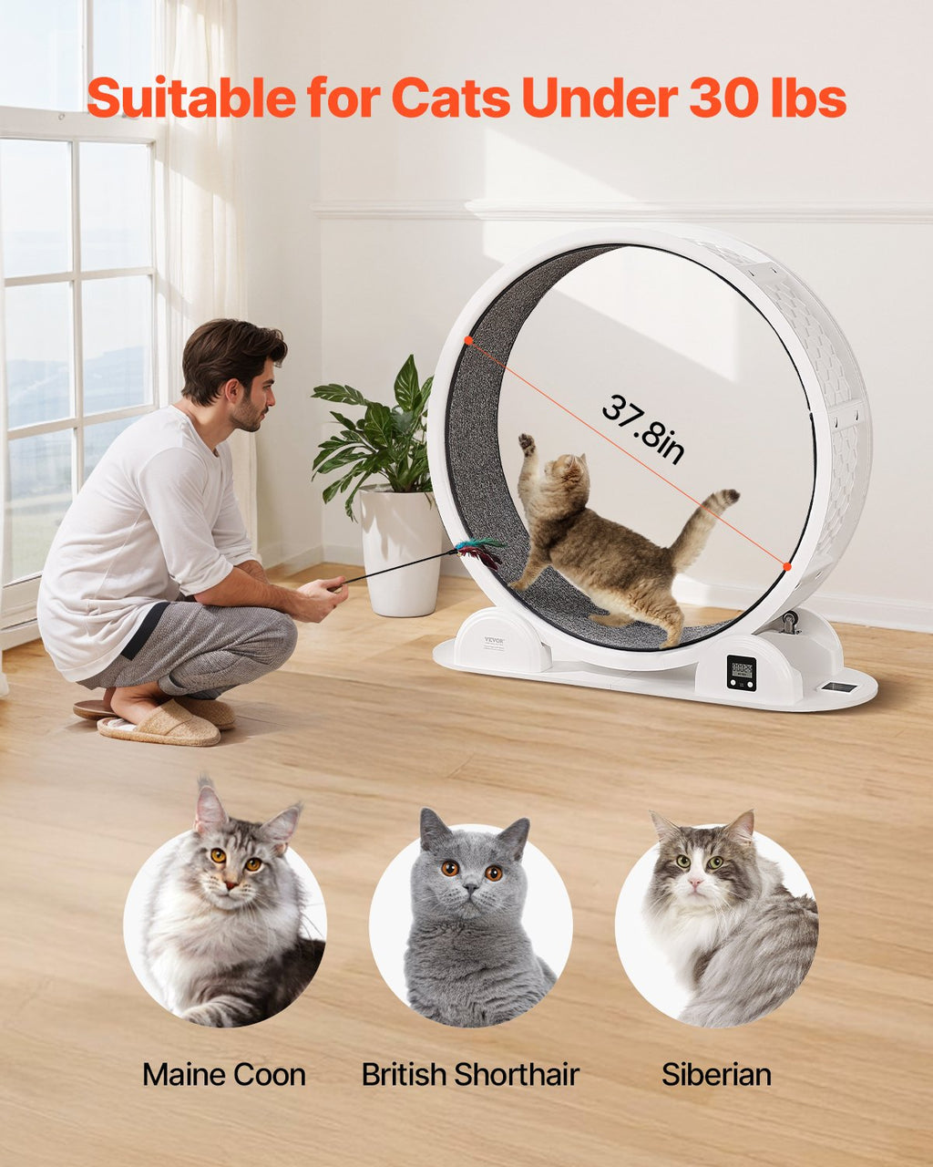 Cat Exercise Wheel With Pedometer 40.8 Cat Treadmill For Pet Health White by VetsPetStore