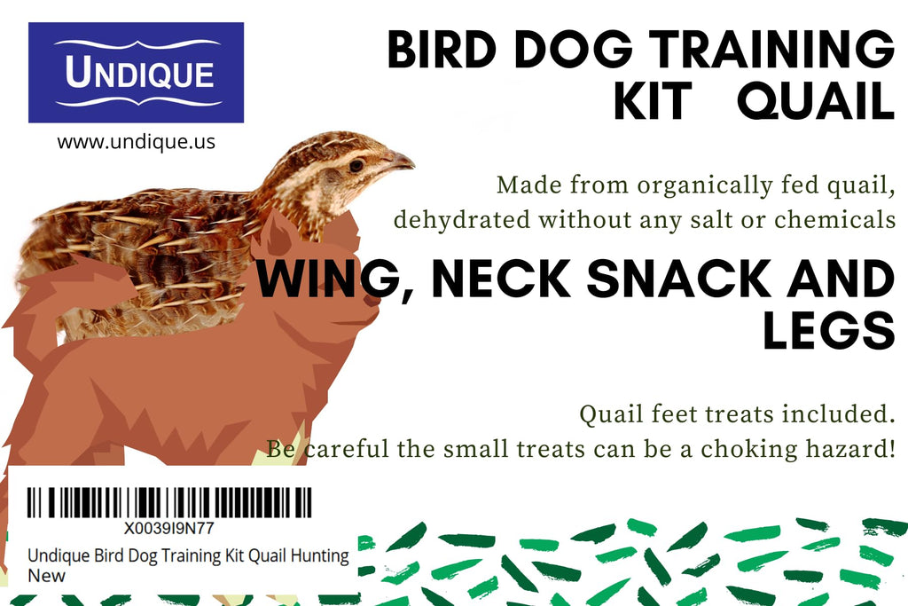 Quail Wing Dog Training Kit - Nutritious Dog Treats and Quail Wing for Effective Dog Training Sessions - Reinforce Positive Behaviors with Training Treats - Not Suitable for Small Breeds by Quailz.com by Undique LLC