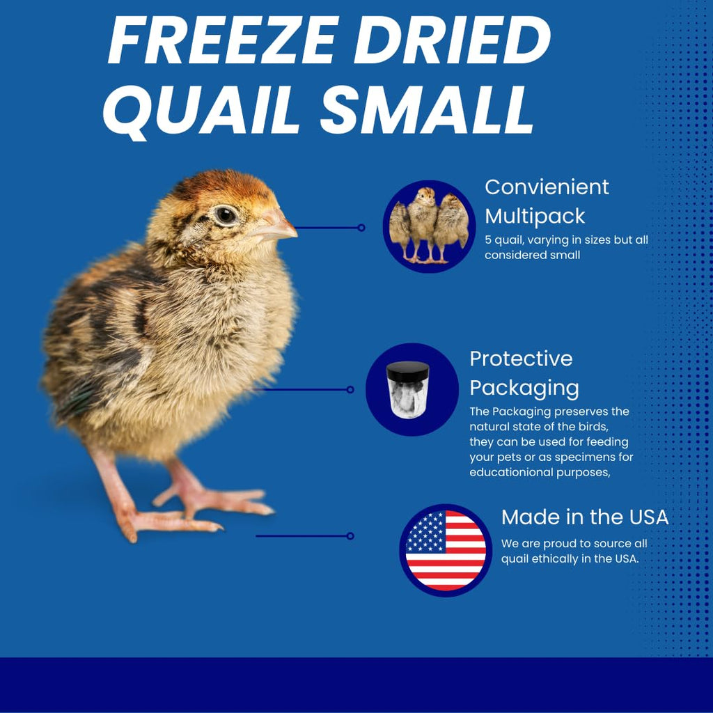 Whole Quail for Carnivore Pets - Premium Quality Natural Pet Treats Quail - Natural Prey Feeding Quail - Freeze-Dried for Essential Nutrients and Enzymes Small Size 5 Count by Quailz.com by Undique LLC