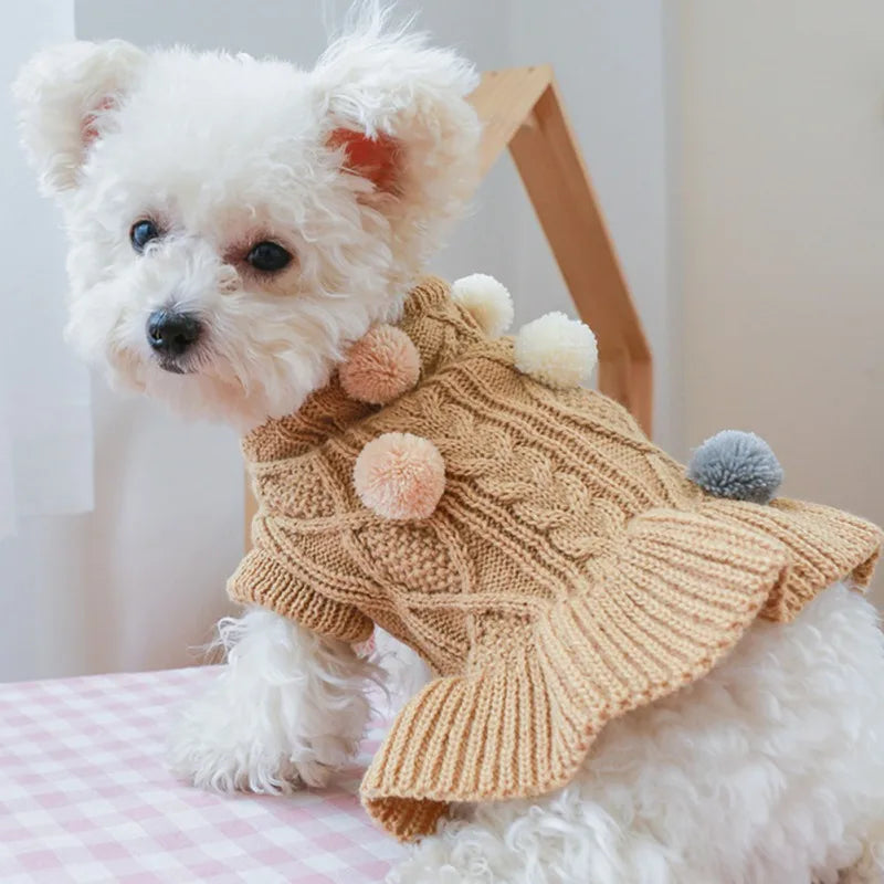 Sweet Pet Knit Sweater Dress