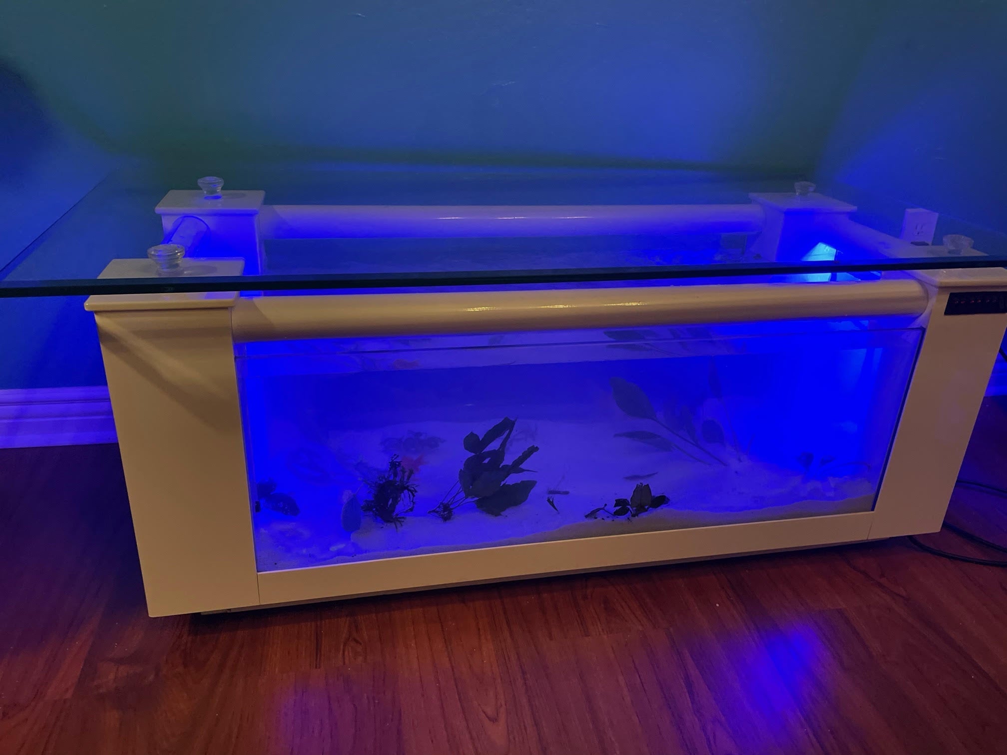 WARRANTY INCLUDED! 45 gallon GLASS rectangle table aquarium fish tank full setup by Northeast Aquariums LLC