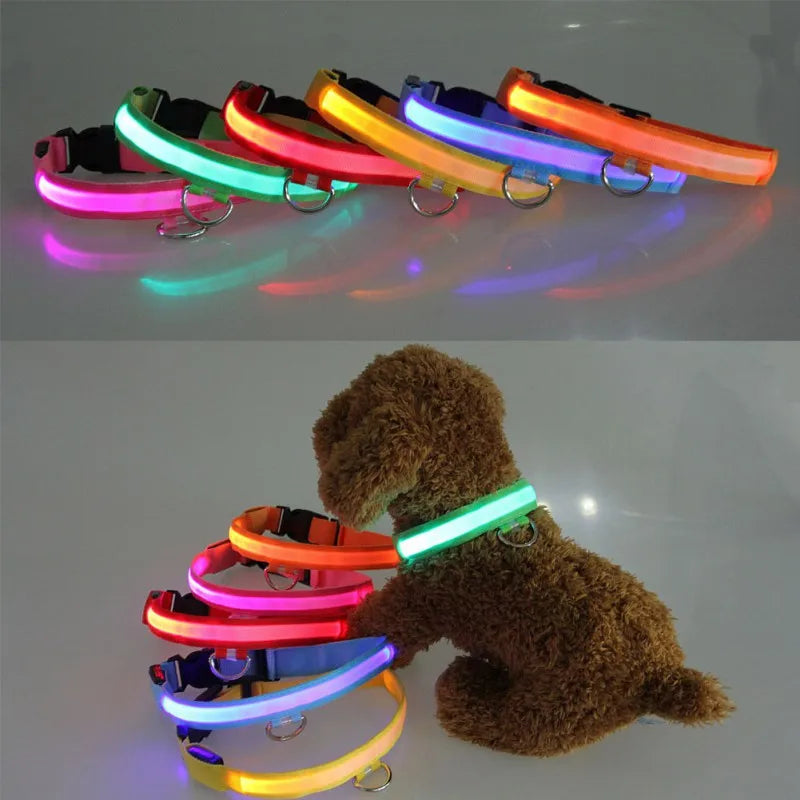 Nylon LED Pet Dog Collar USB Charging by Love My Pet