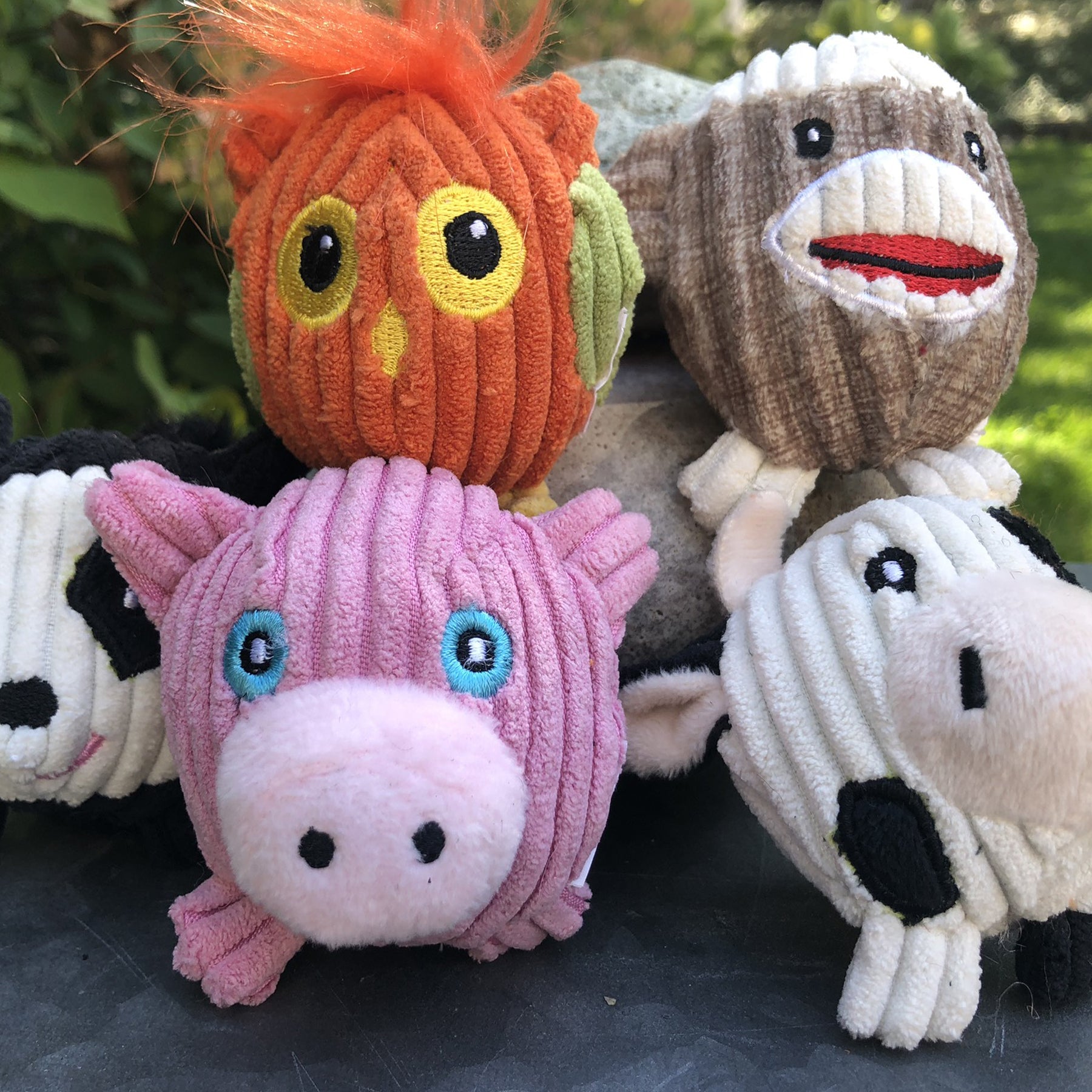 Wee Huggles® Assorted Balls Dog Toys, 5 Pack by HuggleHounds