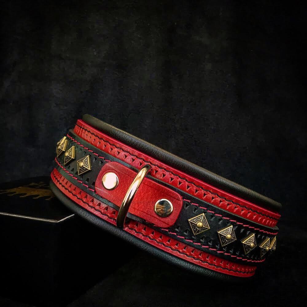 The "Balteus" red collar by Bestia Dog Gear