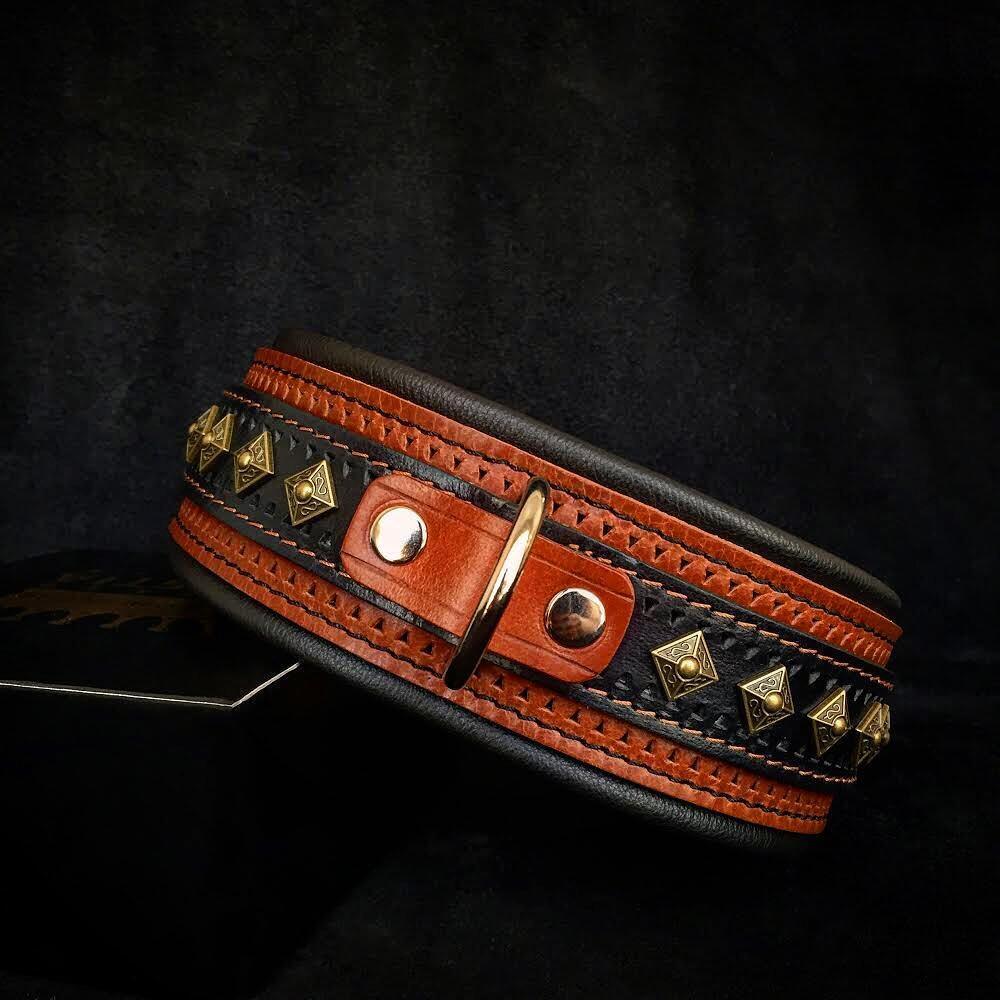 The "Balteus" brown collar by Bestia Dog Gear