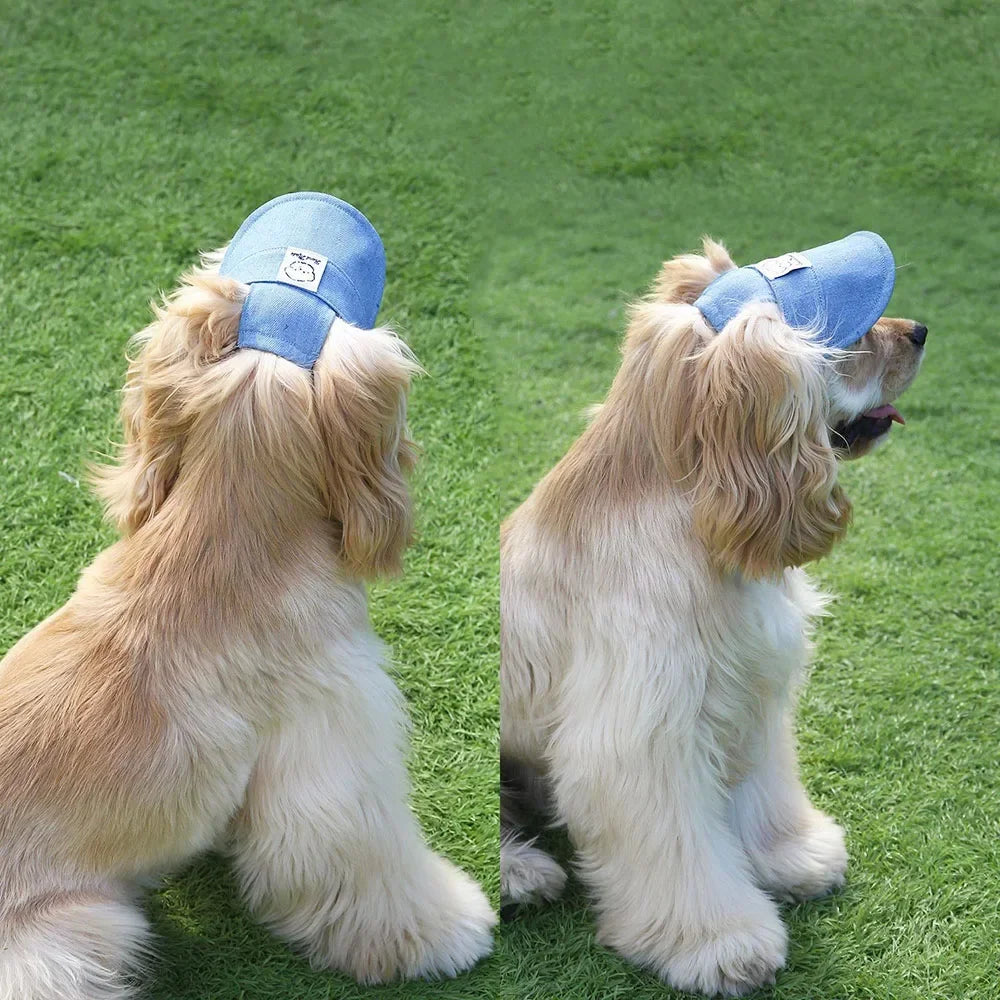 Pet Outdoor Embroidered Cartoon Sunshade Hat